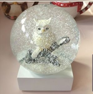Crackle Barrel Owl Snow Globe